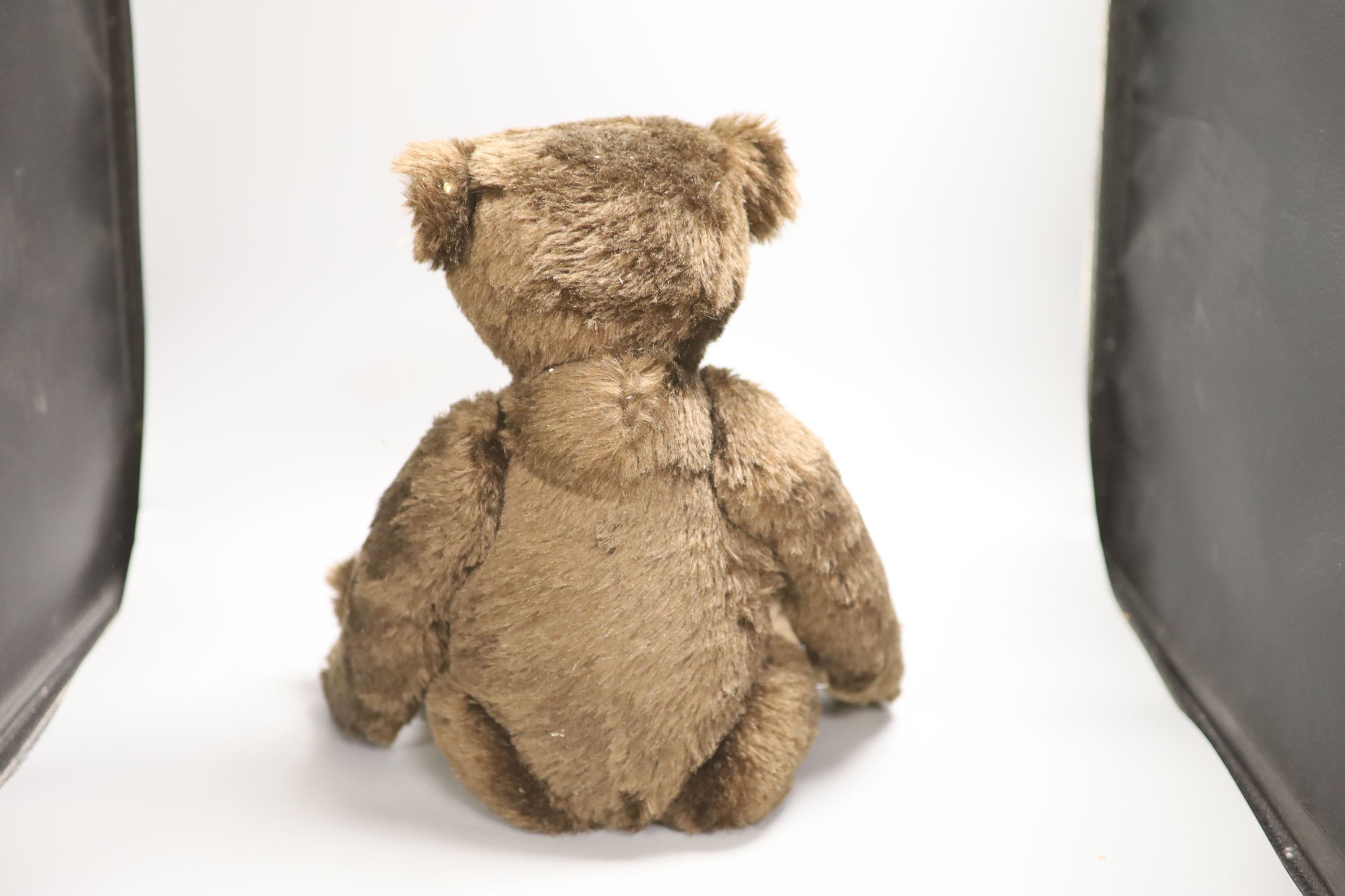 A Steiff 1907 collectors bear